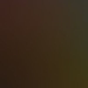 Meet your Posher, Bill